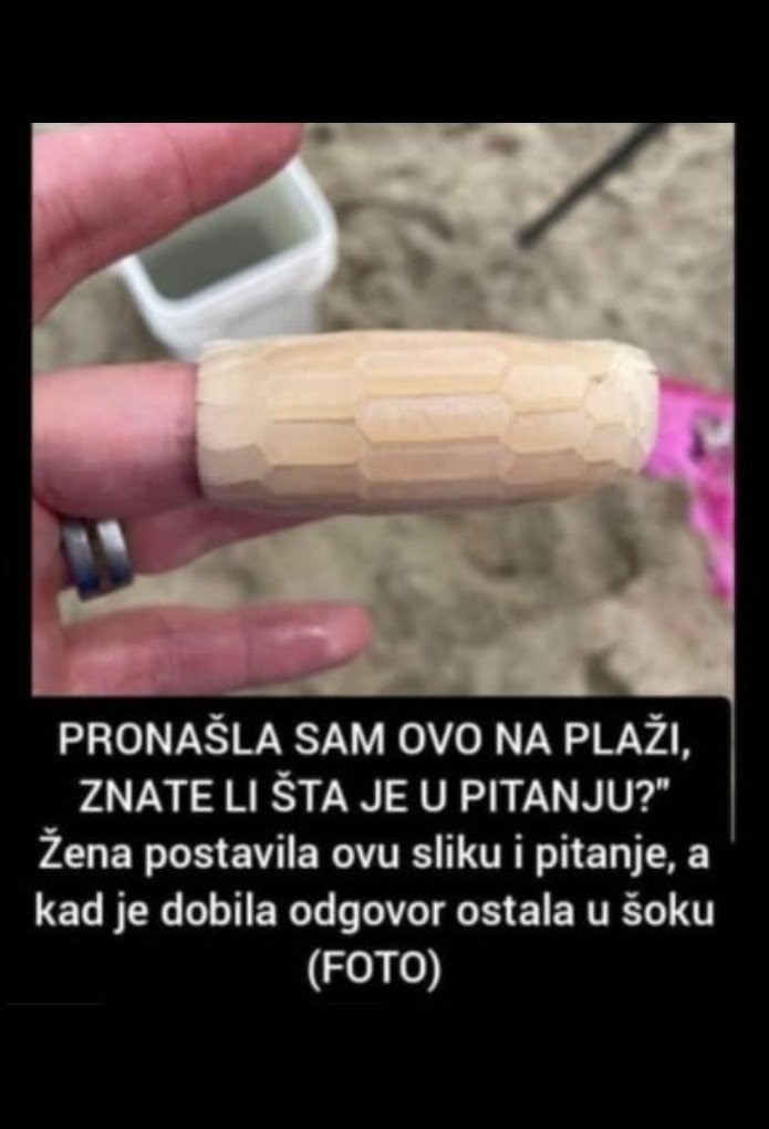 “PRONAŠLA SAM OVO NA PLAŽI, ZNATE LI ŠTA JE U PITANJU?” Žena postavila ovu sliku i pitanje, a kad je dobila odgovor ostala u šoku (FOTO)