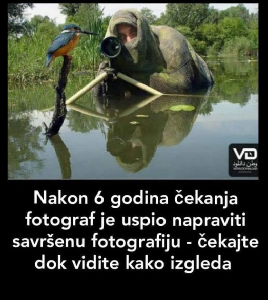 NAKON 6 GODINA ČEKANJA I 720.000 NEUSPJELIH FOTOGRAFIJA OVAJ FOTOGRAF JE KONAČNO USPIO UHVATITI “SAVRŠENU FOTOGRAFIJU”: Nećete vjerovati kad vidite (FOTO)