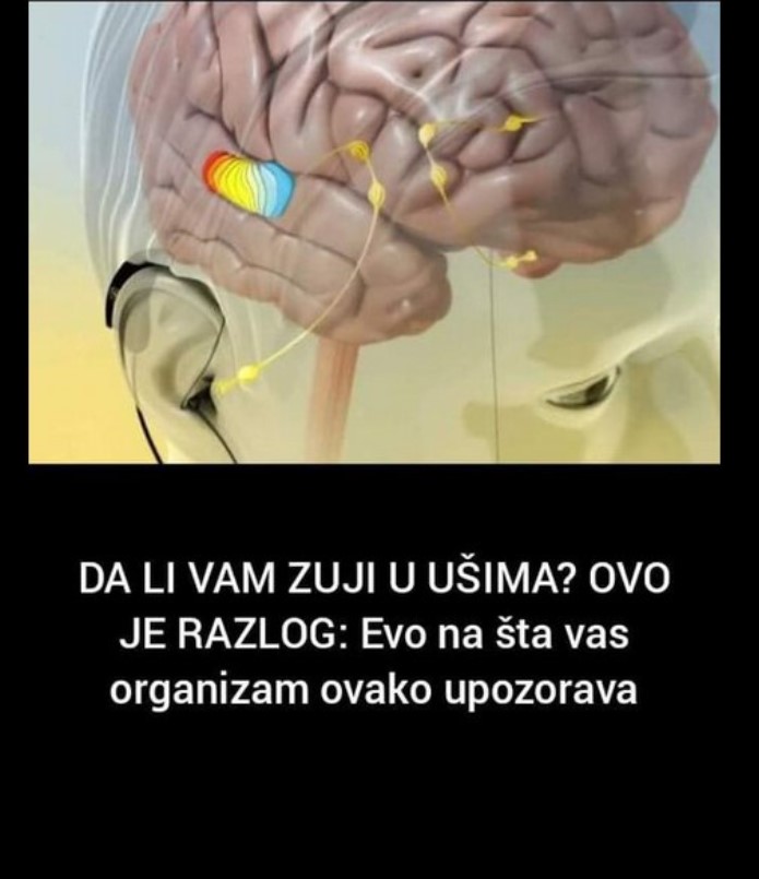 DA LI VAM ZUJI U UŠIMA? OVO JE RAZLOG: Evo na šta vas organizam ovako upozorava