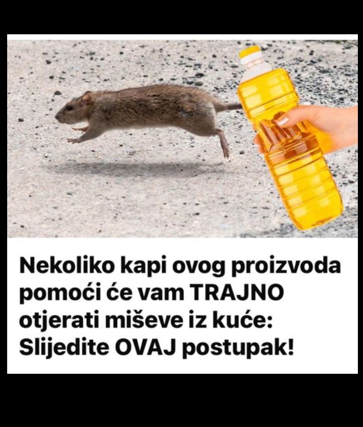 Nekoliko kapi ovog proizvoda će vam pomoći da TRAJNO otjerate miševe iz kuće: Slijedite OVU proceduru!