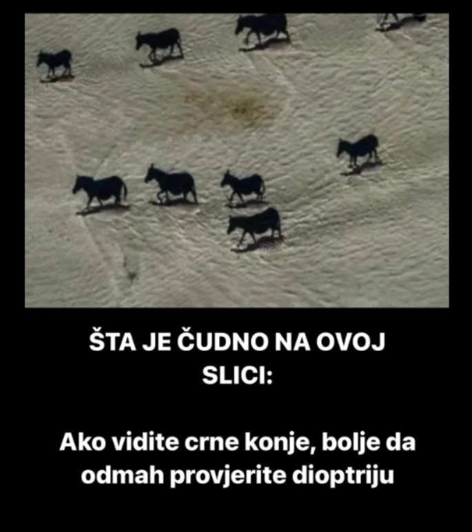 ŠTA JE ČUDNO NA OVOJ SLICI: Ako vidite crne konje, bolje da odmah provjerite dioptriju