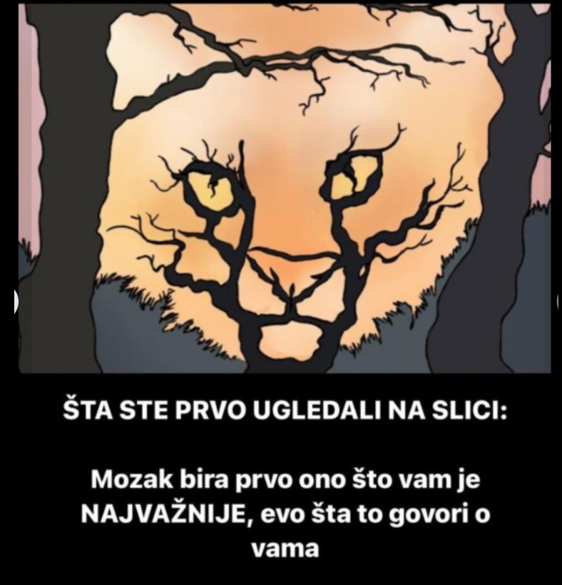 ŠTA STE PRVO UGLEDALI NA SLICI: Mozak bira prvo ono što vam je NAJVAŽNIJE, evo šta to govori o vama