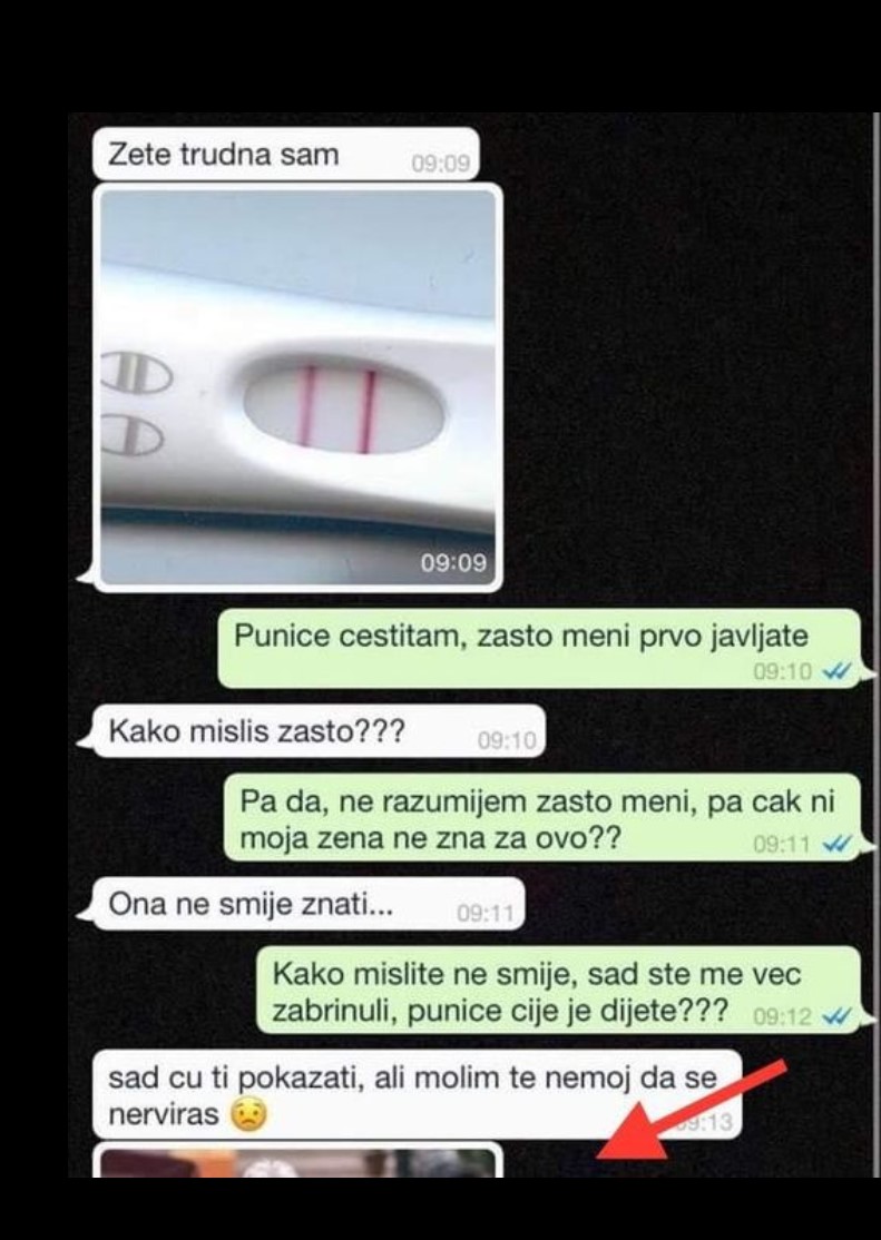 PUNICA MI JE NAPISALA DA JE TRUDNA, NIŠTA MI NIJE BILO JASNO