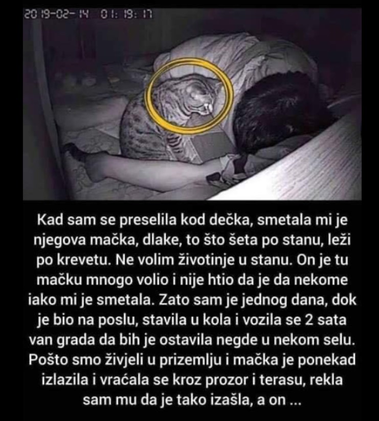 “Preselila sam se kod dečka koji je imao macu