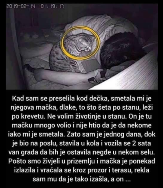 “Preselila sam se kod dečka koji je imao mačku”