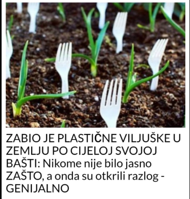 ZABIO JE PLASTIČNE VILJUŠKE U ZEMLJU PO CIJELOJ SVOJOJ BAŠTI: Nikome nije bilo jasno ZAŠTO, a onda su otkrili razlog – GENIJALNO