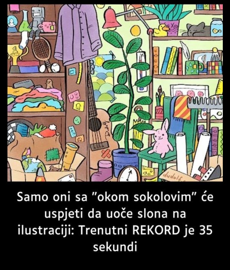 Samo oni sa “okom sokolovim” će uspjeti da uoče slona na ilustraciji: Trenutni REKORD je 35 sekundi