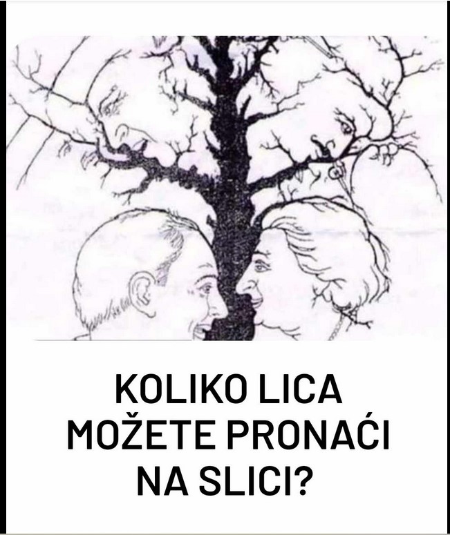 Koliko lica možete pronaći na slici? Odgovor otkriva koliko ste inteligentni!