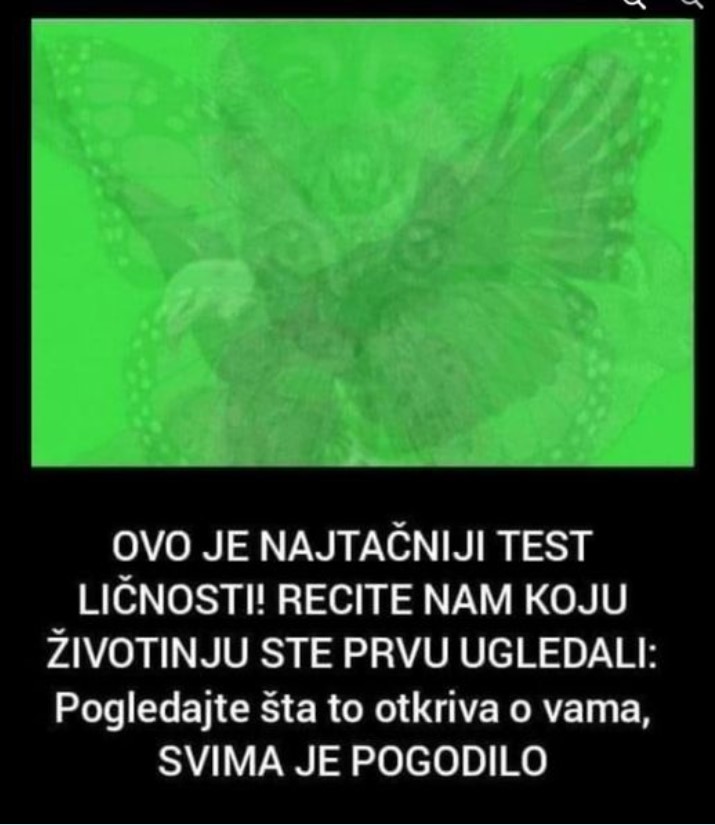 OVO JE NAJTAČNIJI TEST LIČNOSTI! RECITE NAM KOJU ŽIVOTINJU STE PRVU UGLEDALI: Pogledajte šta to otkriva o vama, SVIMA JE POGODILO