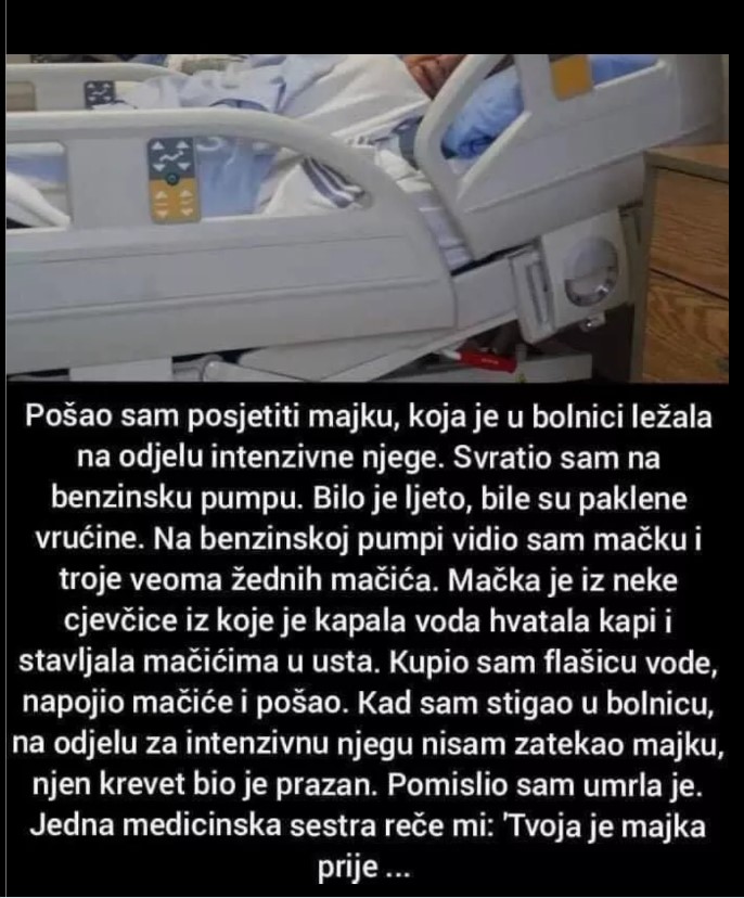 Priča o čovjeku čija je majka bila u komi