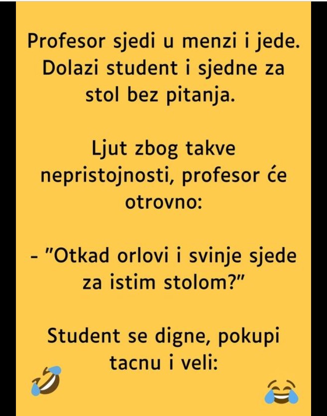 VIC: Profesor i student