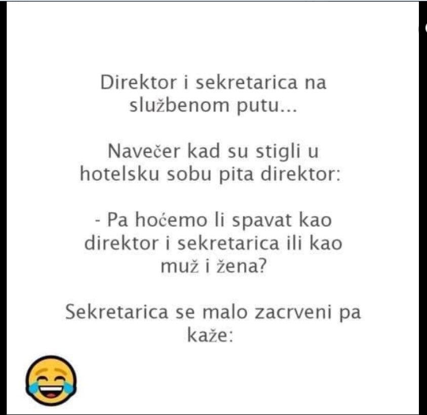 VIC DANA: Direktor i sekretarica