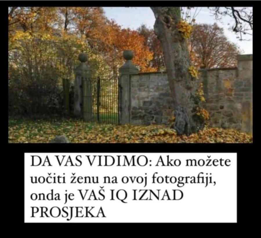 DA VAS VIDIMO: Ako možete uočiti ženu na ovoj fotografiji, onda je VAŠ IQ IZNAD PROSJEKA