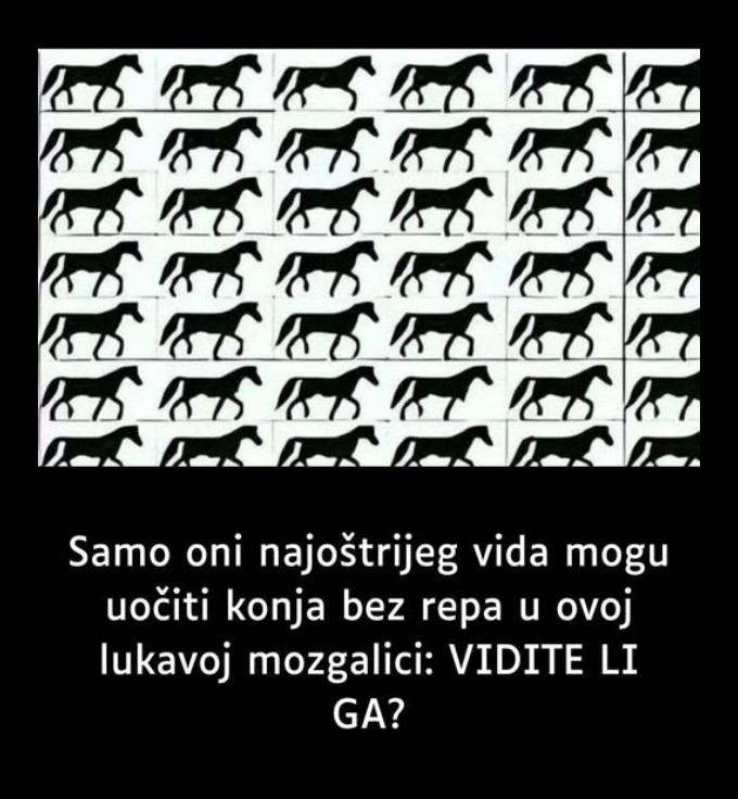 Samo oni najoštrijeg vida mogu uočiti konja bez repa u ovoj lukavoj mozgalici: VIDITE LI GA?