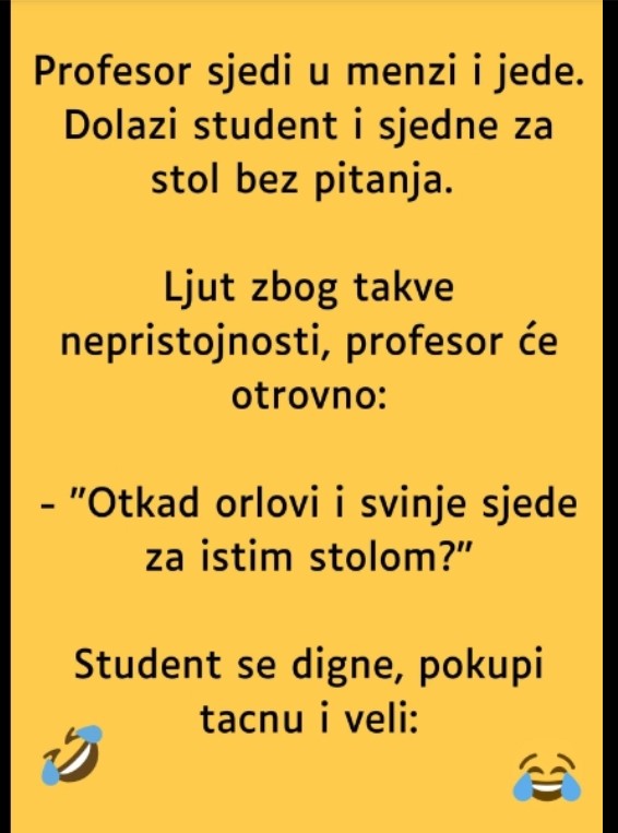 VIC: Profesor i student