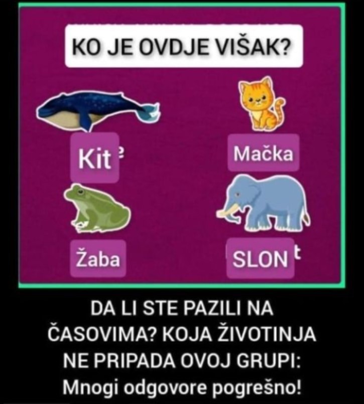 DA LI STE PAZILI NA ČASOVIMA? KOJA ŽIVOTINJA NE PRIPADA OVOJ GRUPI: Mnogi odgovore pogrešno!