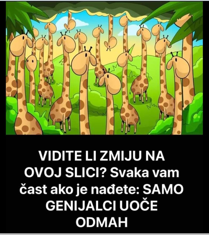 VIDITE LI ZMIJU NA OVOJ SLICI? Svaka vam čast ako je nađete: SAMO GENIJALCI UOČE ODMAH