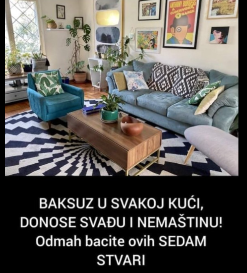 BAKSUZ U SVAKOJ KUĆI, DONOSE SVAĐU I NEMAŠTINU! Odmah bacite ovih SEDAM STVARI