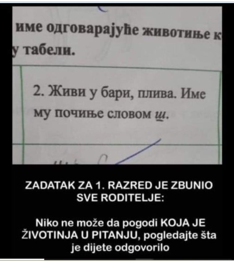 ZADATAK ZA 1. RAZRED JE ZBUNIO SVE RODITELJE: Niko ne može da pogodi KOJA JE ŽIVOTINJA U PITANJU, pogledajte šta je dijete odgovorilo