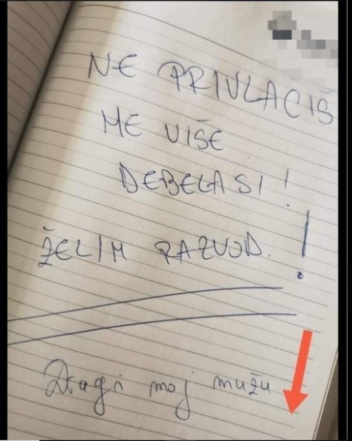 MUŽ MI JE JASNO NAPISAO ŠTA MISLI O MENI, ALI NIJE ZNAO DA JA ZNAM TAJNU KOJA ĆE GA UNIŠTITI: Sad me moli da se pomirimo