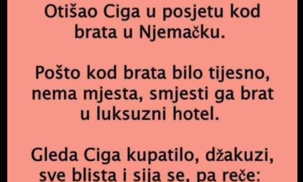 VIC DANA: Ciga u hotelu