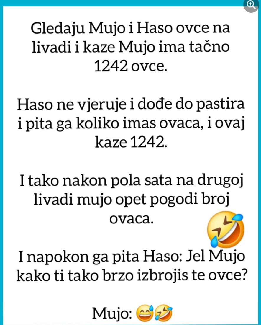 VIC OD KOJEG ĆETE PLAKATI OD SMIJEHA: Gledaju Mujo i Haso ovce…