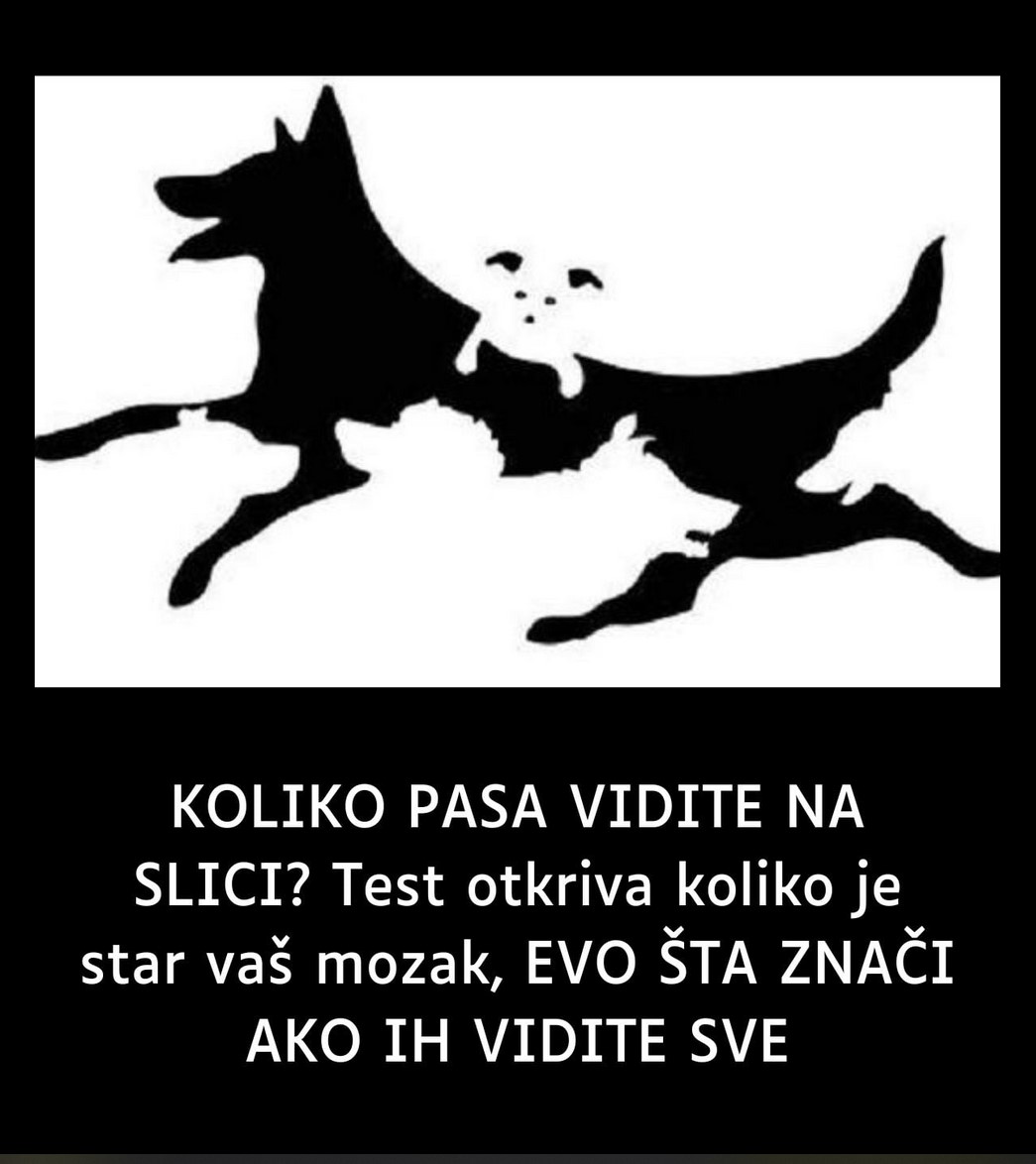 KOLIKO PASA VIDITE NA SLICI? Test otkriva koliko je star vaš mozak, EVO ŠTA ZNAČI AKO IH VIDITE SVE