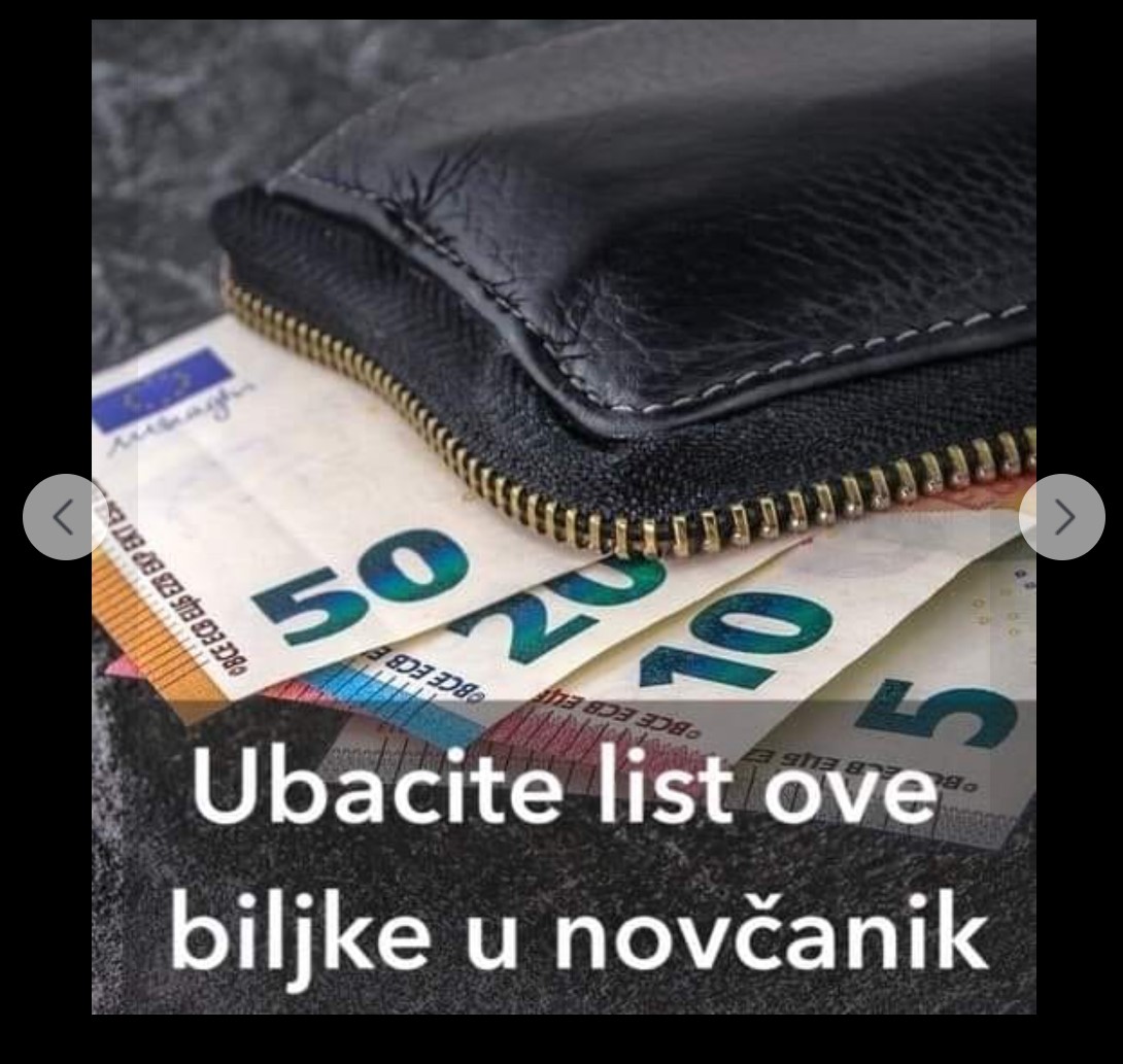 MAGIČAN TRIK ZA PRIVLAČENJE NOVCA: Ubacite list ove biljke u novčanik i gledajte KAKO SE TALOŽE PARE!