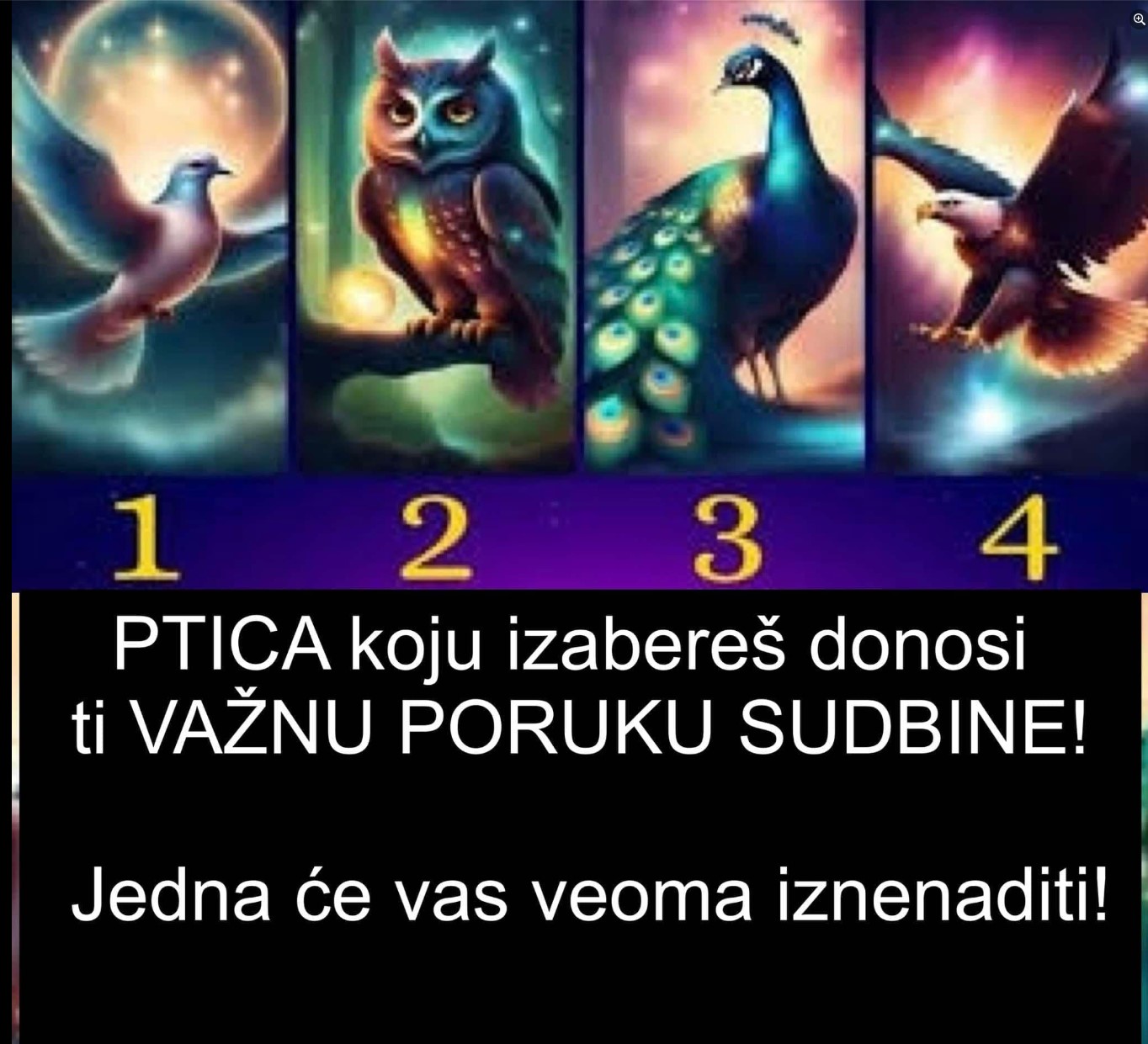 PTICA koju izabereš donosi ti VAŽNU PORUKU SUDBINE! Jedna će vas veoma iznenaditi!