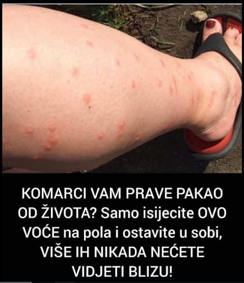 KOMARCI VAM PRAVE PAKA0 OD ŽIVOTA? Samo isijecite OVO VOĆE na pola i ostavite u sobi, VIŠE IH NIKADA NEĆETE VIDJETI BLIZU