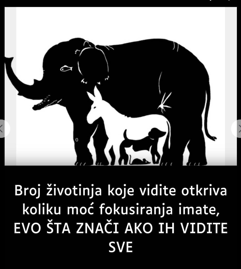 Broj životinja koje vidite otkriva koliku moć fokusiranja imate, EVO ŠTA ZNAČI AKO IH VIDITE SVE