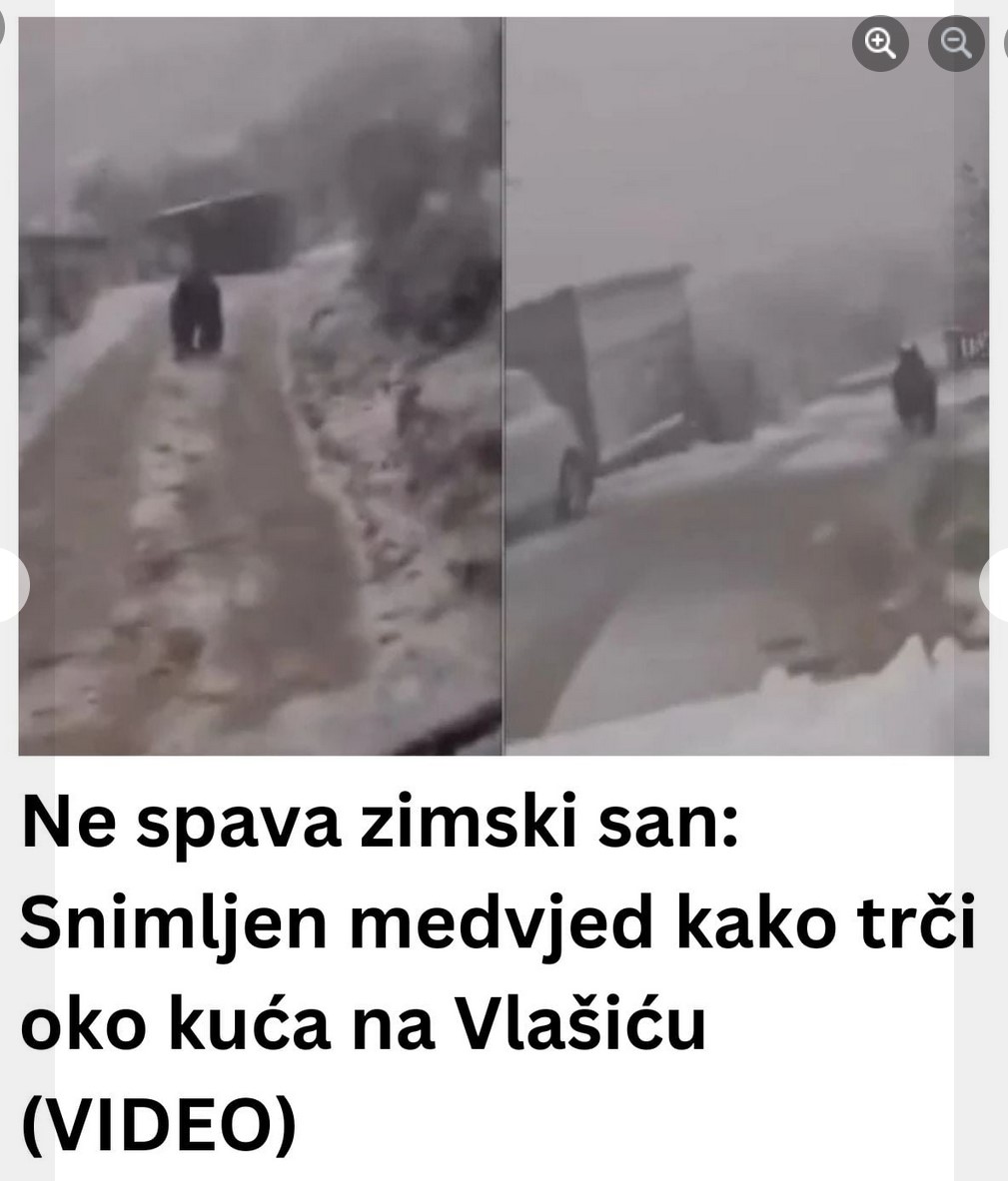 Ne spava zimski san: Snimljen medvjed kako trči oko kuća na Vlašiću (VIDEO)