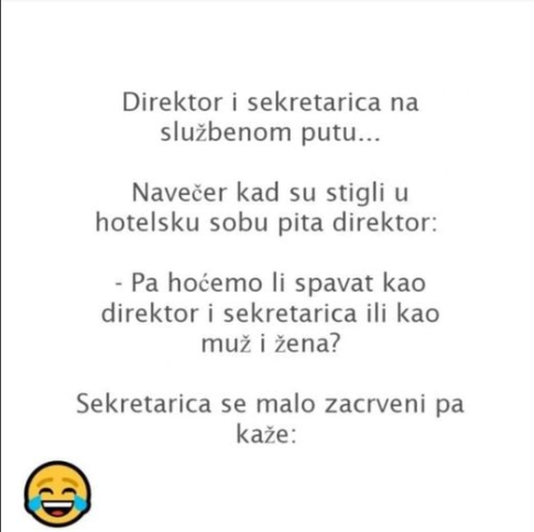 VIC DANA: Direktor i sekretarica