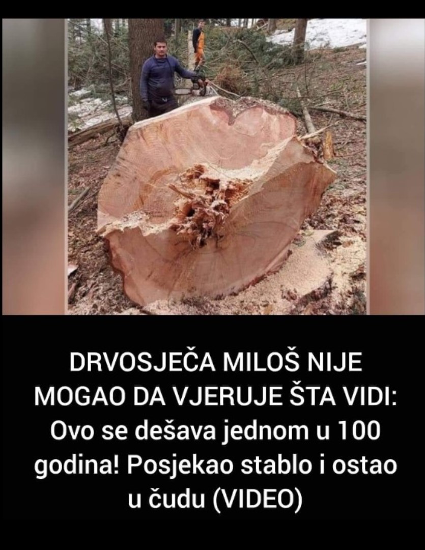 DRVOSJEČA MILOŠ NIJE MOGAO DA VJERUJE ŠTA VIDI: Ovo se dešava jednom u 100 godina! Posjekao stablo i ostao u čudu (VIDEO)