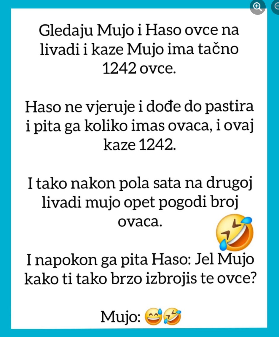 VIC OD KOJEG ĆETE PLAKATI OD SMIJEHA: Gledaju Mujo i Haso ovce…