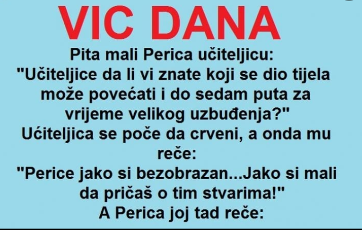 VIC DANA: Pita mali Perica učiteljicu