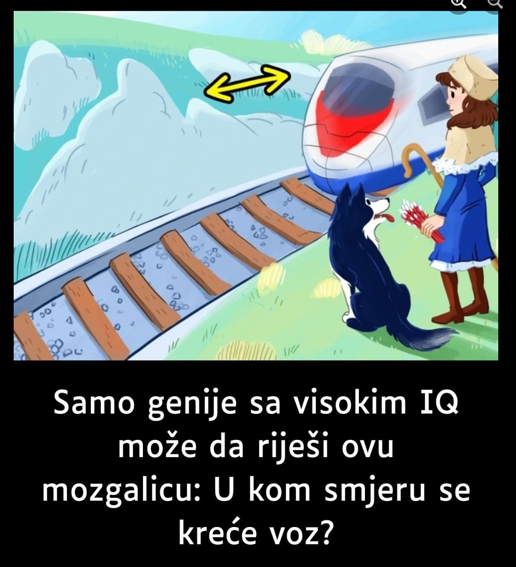 Samo genije sa visokim IQ može da riješi ovu mozgalicu: U kom smjeru se kreće voz?