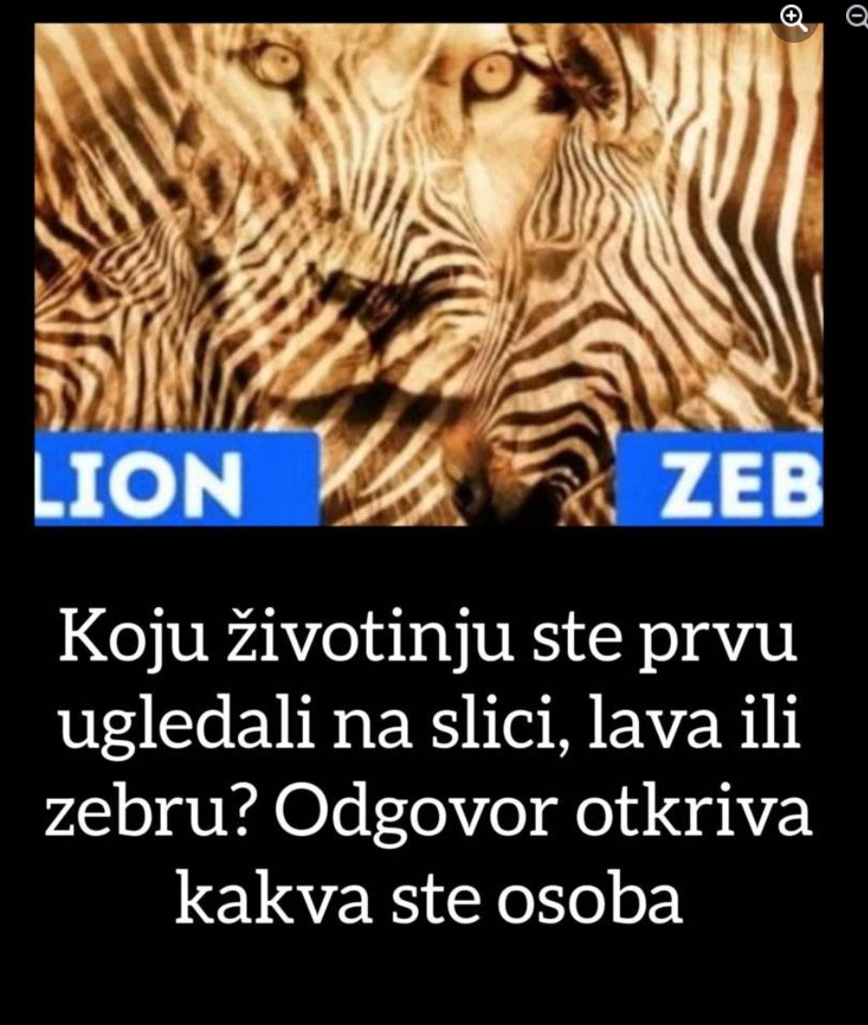 Koju ste životinju ugledali na slici, lavi ili zebru? Odgovor otkriva kakva ste osoba