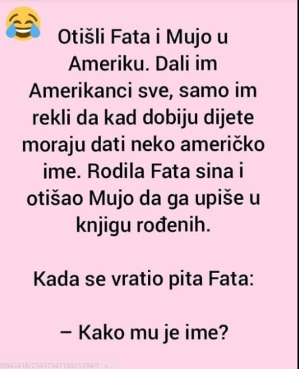 VIC DANA: Fata i Mujo u Americi