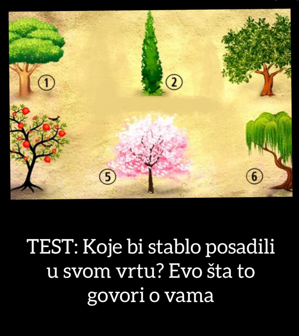 TEST: Koje bi stablo posadili u svom vrtu? Evo šta to govori o vama