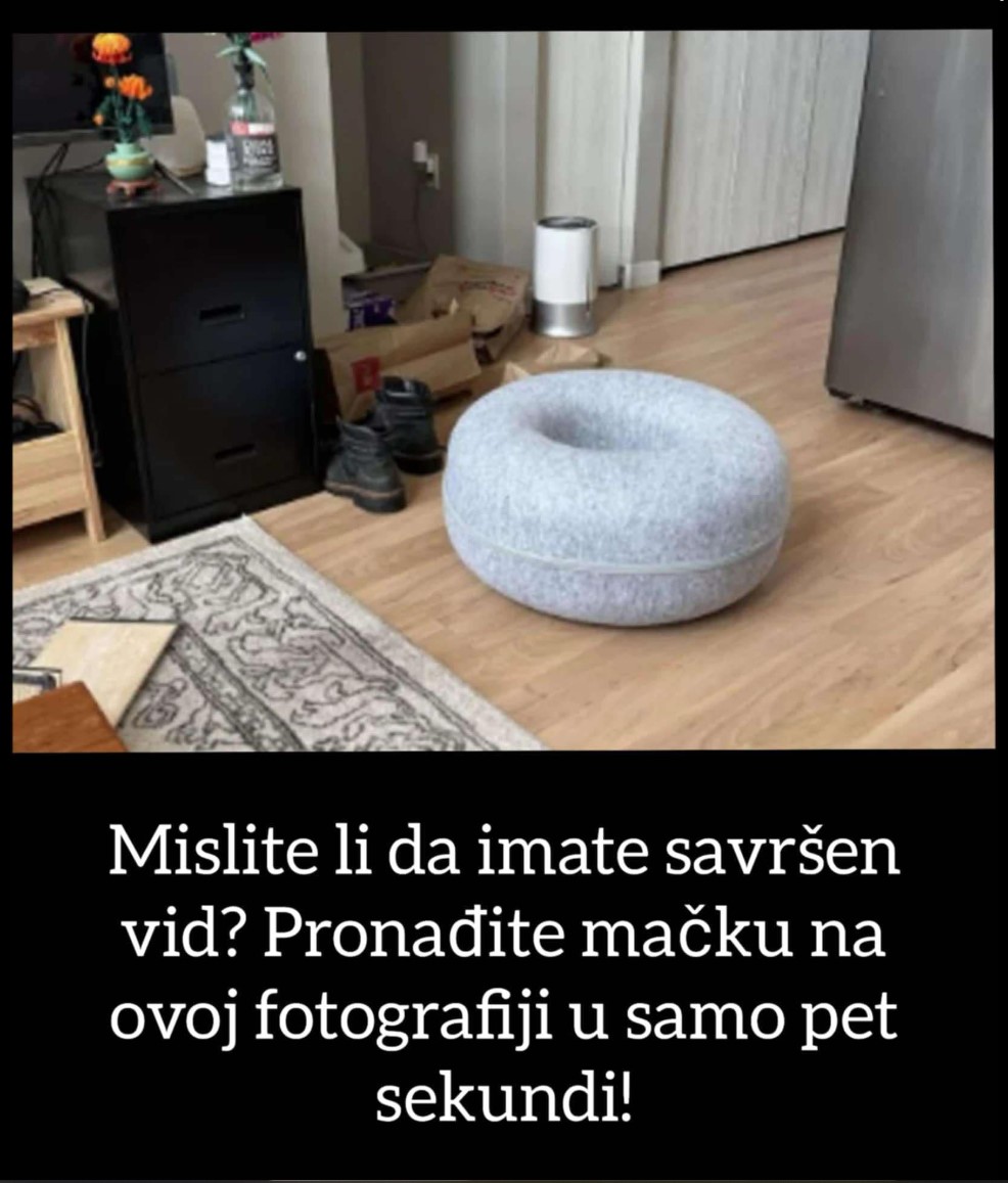 Mislite li da imate savršen vid? Pronađite mačku na ovoj fotografiji u samo pet sekundi!