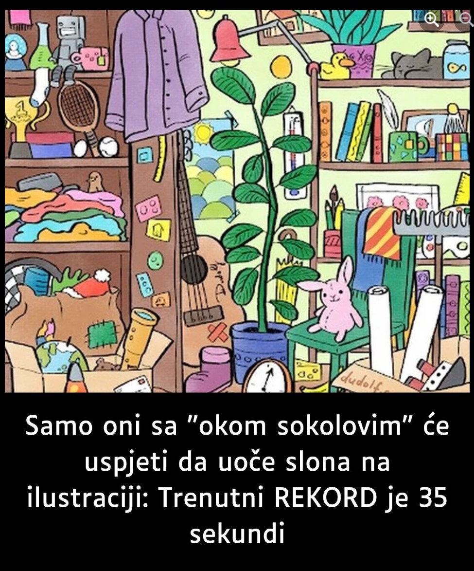 Samo oni s “okom sokolovim” uspjet će uoči slona na ilustraciji: Trenutni REKORD je 35 sekundi