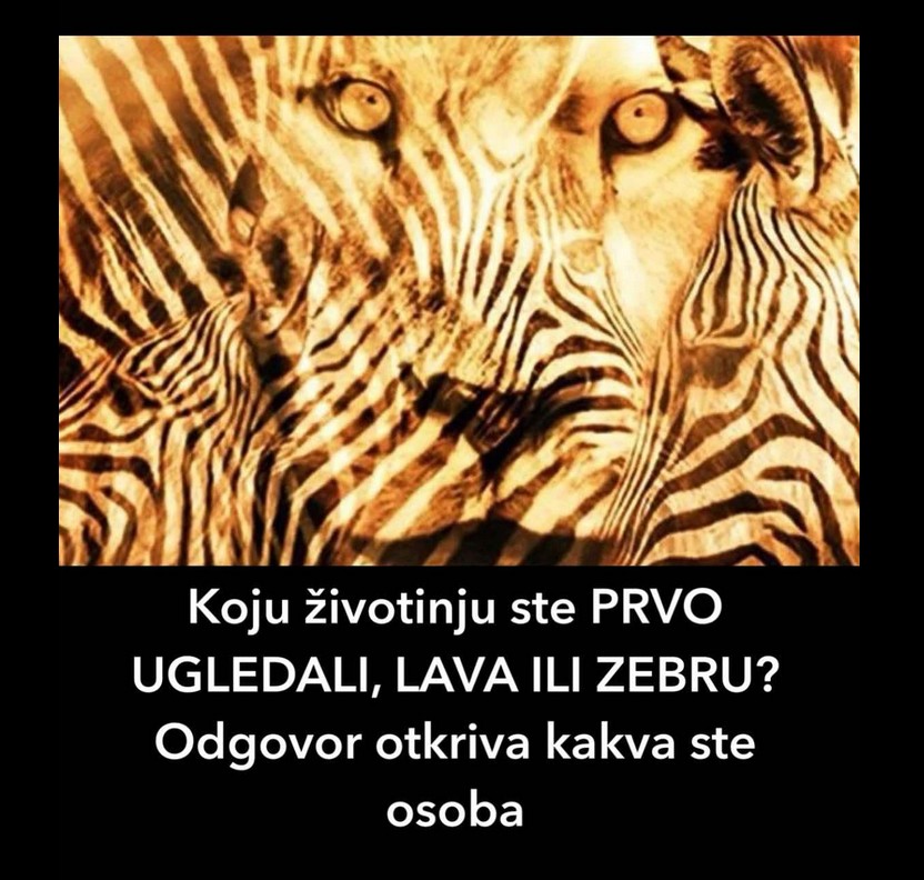 Koju životinju ste PRVO UGLEDALI, LAVA ILI ZEBRU? Odgovor otkriva kakva ste osoba