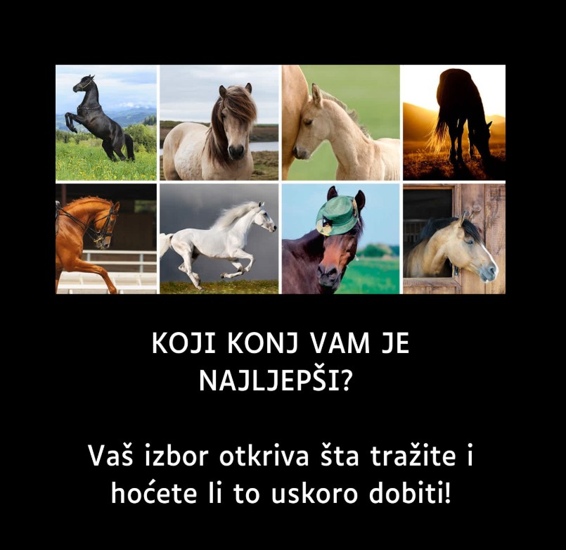 KOJI KONJ VAM JE NAJLJEPŠI? Vaš izbor otkriva šta tražite i hoćete li to uskoro dobiti!