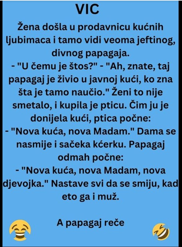 Žena došla u prodavnicu kućnih ljubimaca i tamo vidi veoma jeftinog