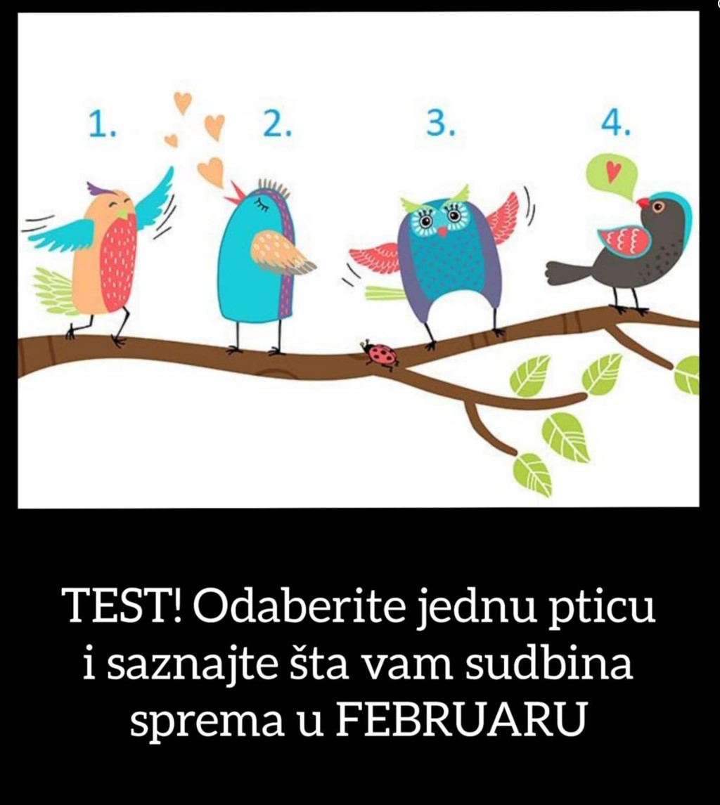 TEST! Odaberite jednu pticu i saznajte šta vam sudbina sprema u FEBRUARU