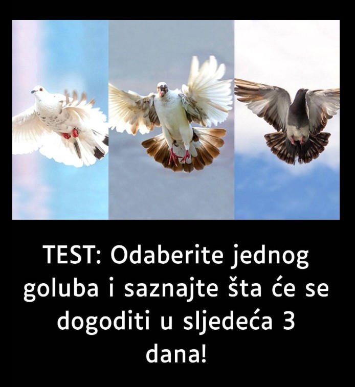 TEST: Odaberite jednog goluba i saznajte šta će se dogoditi u sljedeća 3 dana!