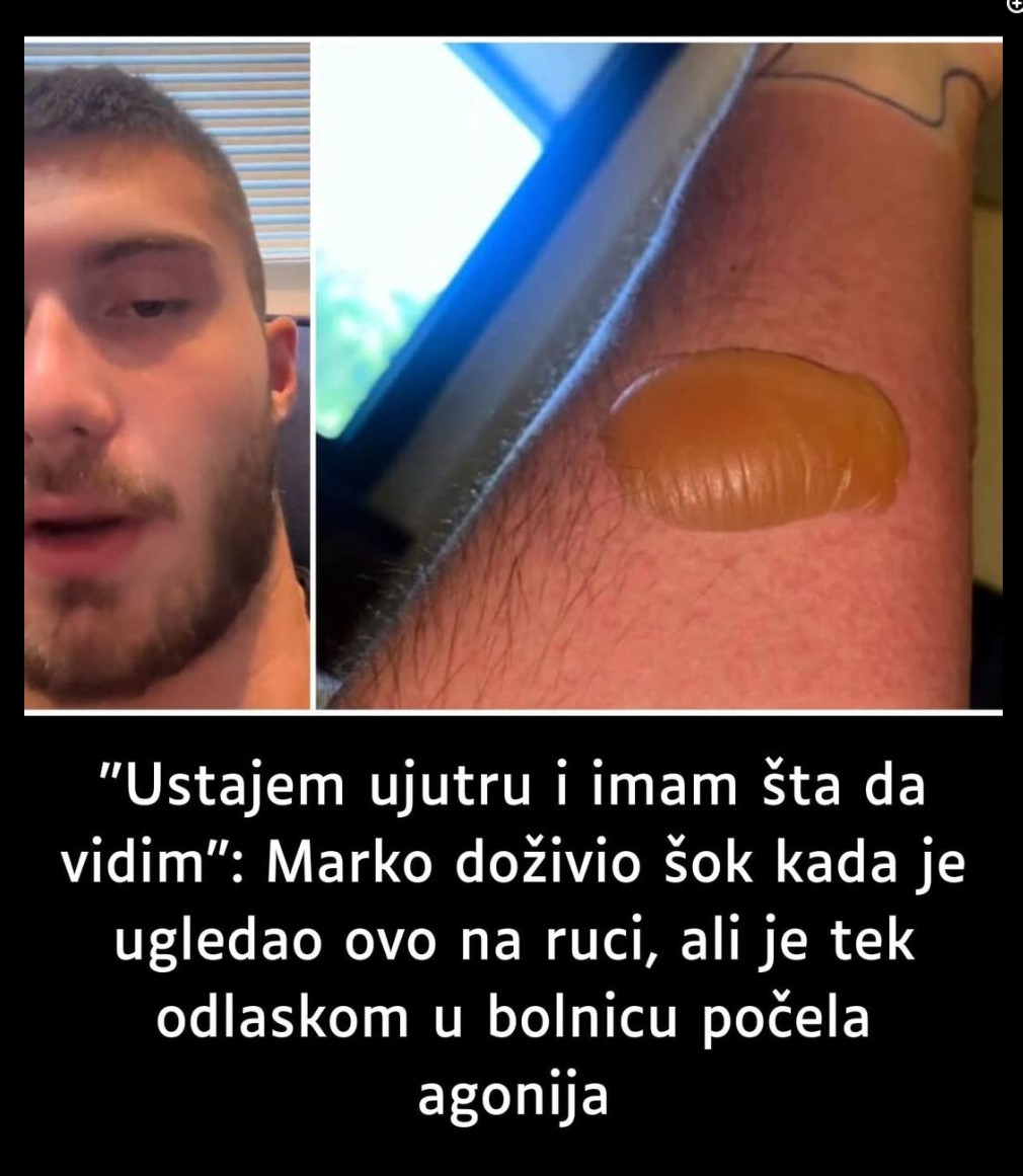 Ustajem ujutru i imam šta da vidim