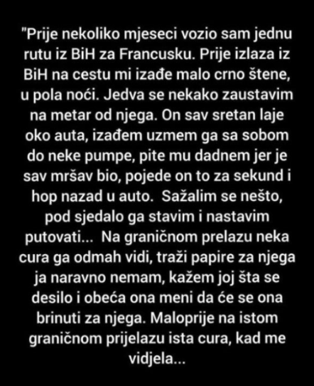 “Prije nekoliko mjeseci vozio sam jednu rutu iz BiH za Francusku”