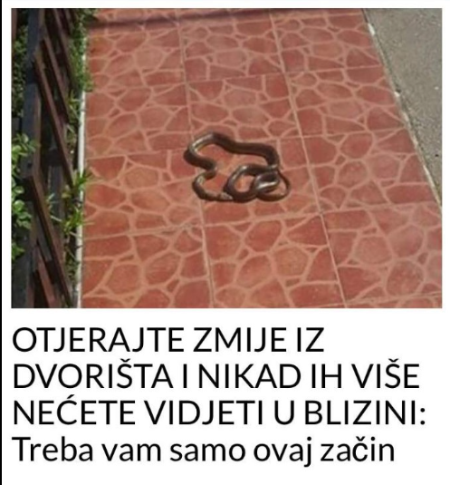 OTJERAJTE ZMIJE IZ DVORIŠTA I NIKAD IH VIŠE NEĆETE VIDJETI U BLIZINI: Treba vam samo ovaj začin